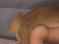 Couple have threesome with dog